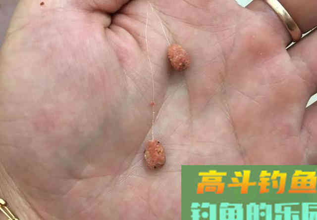 冬钓鲫鱼饵料这样调整才好,新手看完就能学会 冬钓鲫鱼饵料这样调整才好,新手看完就能学会