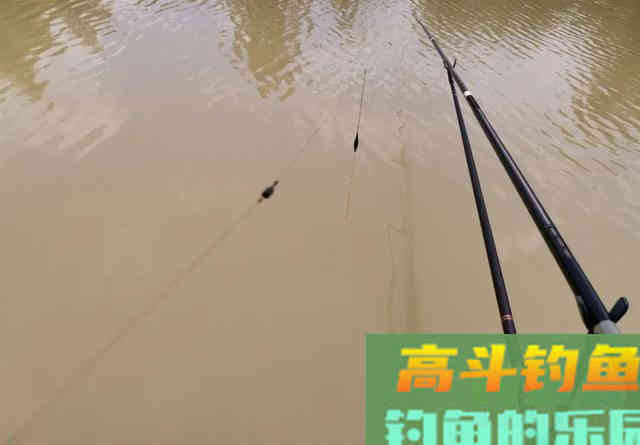 钓草鱼别怕累，这种钓法诱鱼速度最快