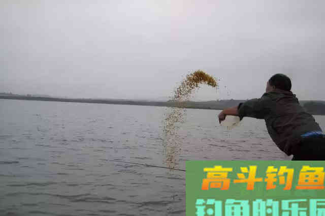 打隔夜鲫鱼窝,不管哪个季节野钓,渔获一盆装不下 打隔夜鲫鱼窝,不管哪个季节野钓,渔获一盆装不下