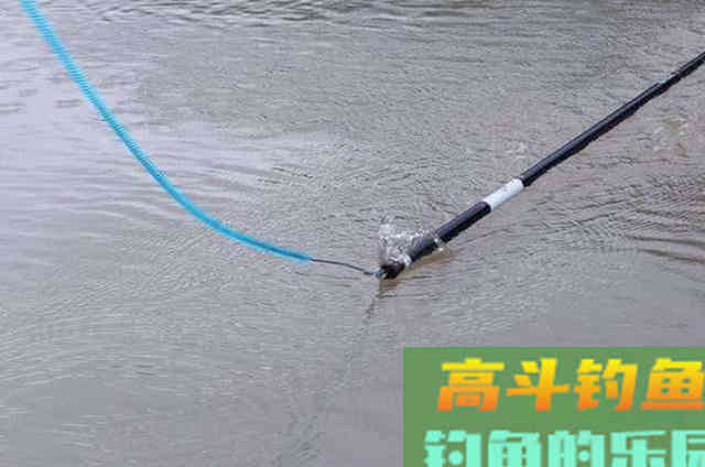 钓小鲫鱼,巧碰大鱼上钩该如何破解?这3个策略可应对 钓小鲫鱼,巧碰大鱼上钩该如何破解?这3个策略可应对