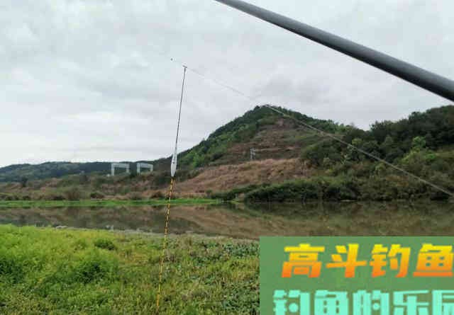 春去夏来鱼情发生变化,大鲫鱼难钓怎么办 春去夏来鱼情发生变化,大鲫鱼难钓怎么办