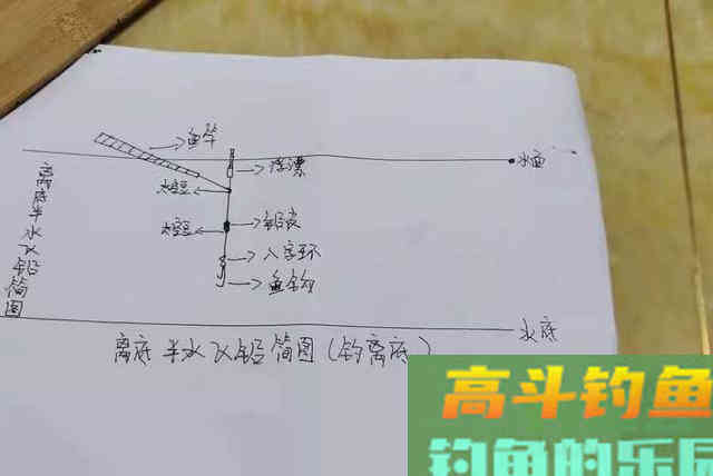 鲫鱼上浮千万不可收竿,照我说的调整,连钓一周 鲫鱼上浮千万不可收竿,照我说的调整,连钓一周