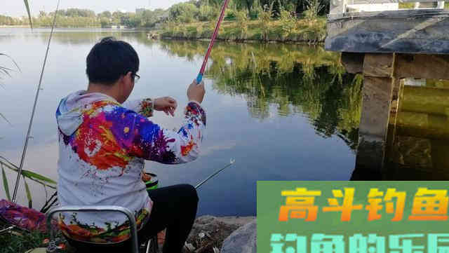 让钓鱼人又爱又恨白条,详解白条钓法及规避方法 让钓鱼人又爱又恨白条,详解白条钓法及规避方法