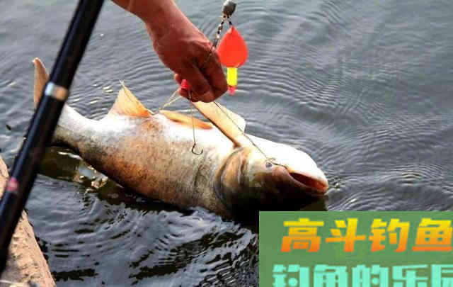 伏天打鲢子，除了味型和雾化，这两个技巧不能不注意