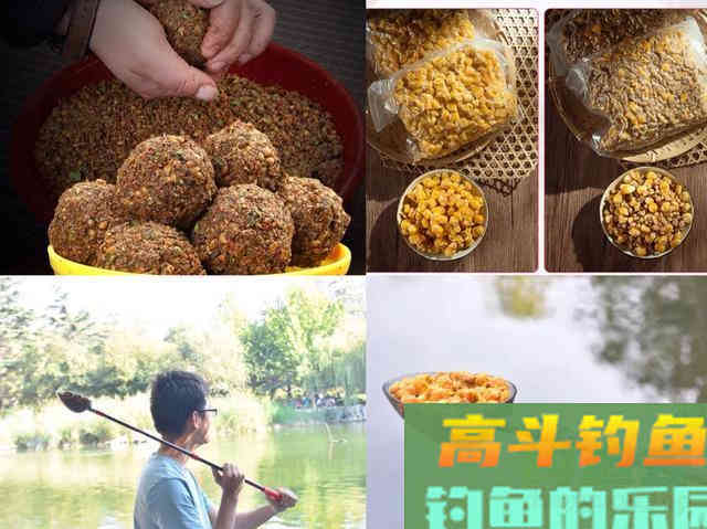 深入了解水深对鱼情的影响，详细释义它们间的关系