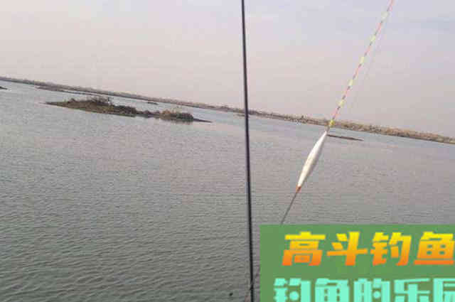 才刚立秋，我就只想用这鲢鳙钓法
