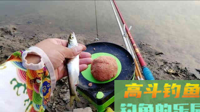 喜欢钓鲫鱼，这样选择鱼竿，让你手感一级棒