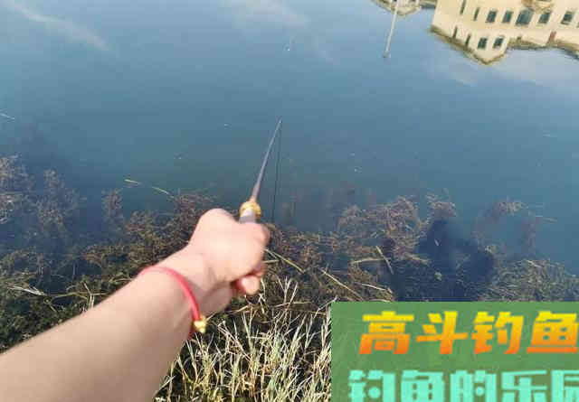 鲫鱼不吃饵那是离底了,初冬水温分层,别守深水钓底 鲫鱼不吃饵那是离底了,初冬水温分层,别守深水钓底