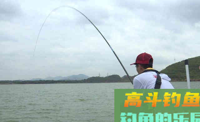 秋季野外钓草有技巧