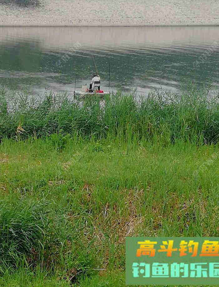 野钓策（18）&mdash;&mdash;野钓鲫鱼提竿的若干问题