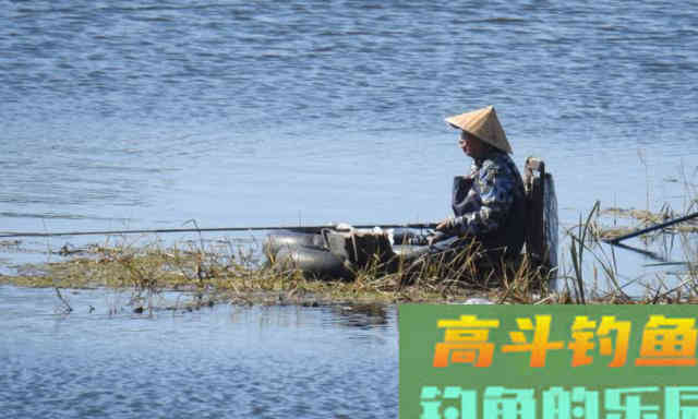 钓位选得好，罗非跑不了