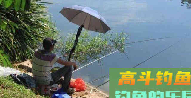 青鱼应分析水中氧含量与鱼情之间的关系,选择作钓位置 青鱼应分析水中氧含量与鱼情之间的关系,选择作钓位置