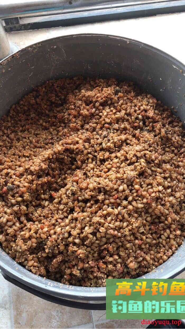 秋天我是这样钓鲫鱼的，我喜爱的传统钓法