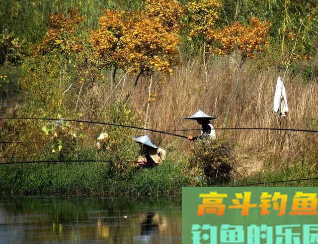 关于传统&ldquo;冬钓鲫&rdquo;的心得体会