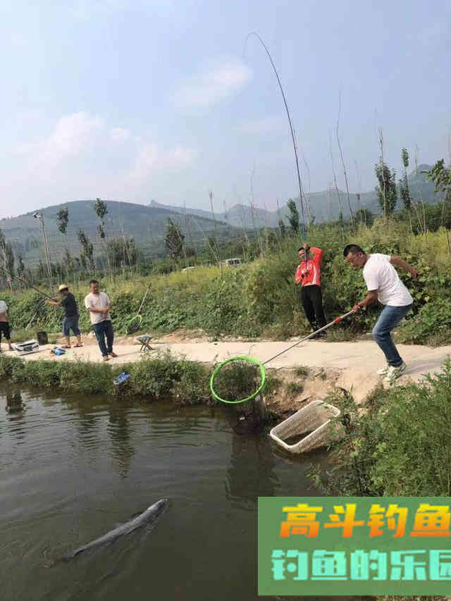 钓青鱼如何避免鱼不给口和中鱼切线等烦恼 钓青鱼如何避免鱼不给口和中鱼切线等烦恼