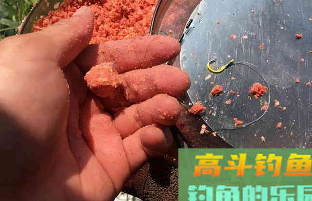 通过这6步学会钓鲢鳙技巧，对新手钓友很有用