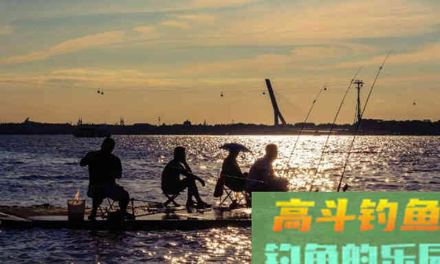 夏季垂钓鲢鳙，需要知道的技巧