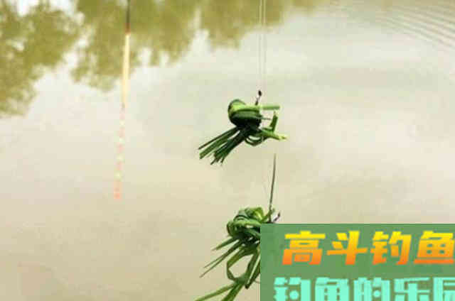 这套诱钓大草鱼的方法,我连用二十年 这套诱钓大草鱼的方法,我连用二十年