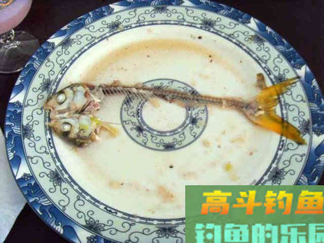 嘴巴小尾巴黄，3两重的冲劲很大，这鱼该如何垂钓