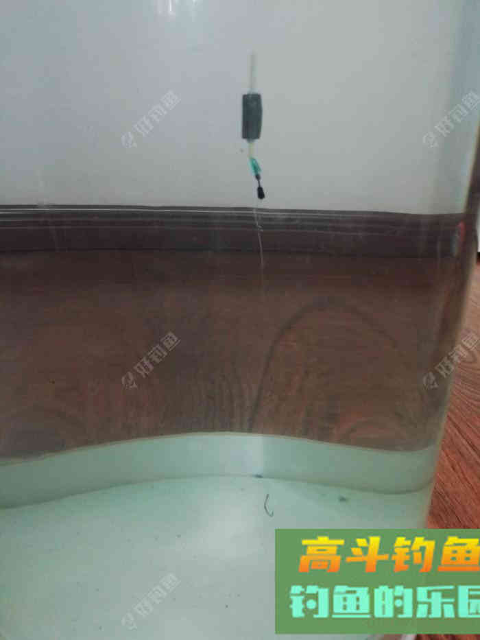 野钓策,野钓鲫鱼调与钓的几点感触 野钓策,野钓鲫鱼调与钓的几点感触