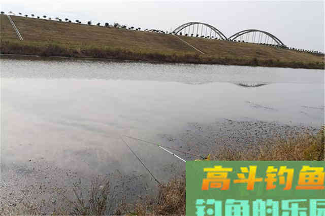 深秋初冬钓鲫鱼,这些地方已经没有鱼了 深秋初冬钓鲫鱼,这些地方已经没有鱼了