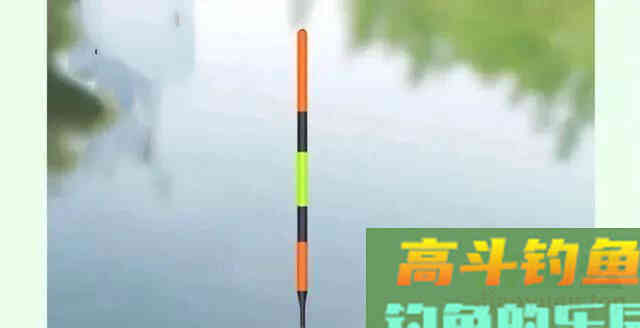 钓青鱼使用玉米饵料垂钓，我们应该如何调钓