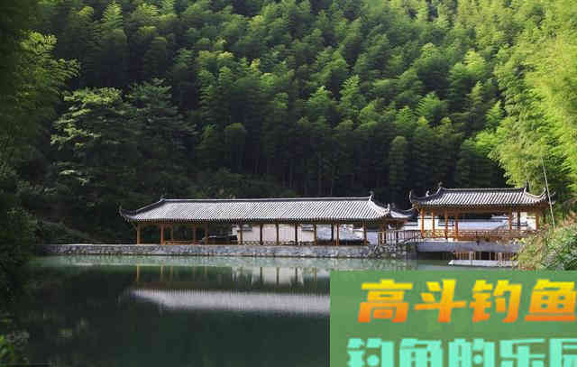 如何垂钓大板鲫，寒露之后掌握这5个关键点
