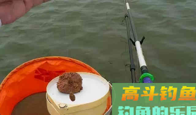 越冷越好钓鲫鱼?几点注意事项,助你满载鱼归 越冷越好钓鲫鱼?几点注意事项,助你满载鱼归