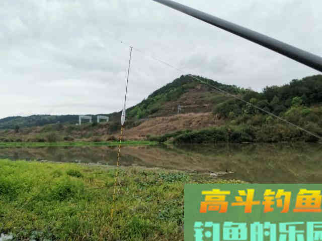 为什么野钓鲫鱼不建议浮钓?看完你就明白了 为什么野钓鲫鱼不建议浮钓?看完你就明白了