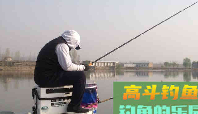 天气开始转暖，此时如何钓鲫鱼