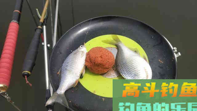还在看不起&ldquo;屎光皮&rdquo;？论条5块，按斤上百，我冰箱中唯一的存鱼