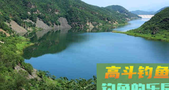钓友问：初春温度升高，不打窝钓鲫鱼可以吗
