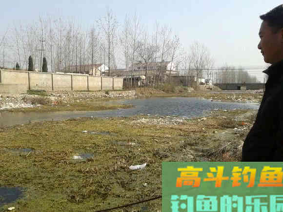 野河沟里钓野生鲫鱼,吃起来却有股煤油味是为什么 野河沟里钓野生鲫鱼,吃起来却有股煤油味是为什么