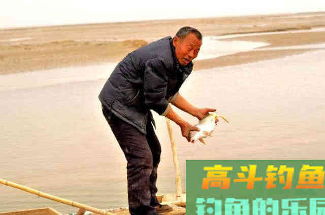 洛鲤伊鲂，贵于牛羊，钓黄河鲤是一种怎样的感受