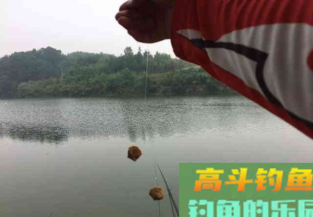 大鲤鱼狡猾至极,钓灵不如钓笨,黑漂后再起竿中鱼率高 大鲤鱼狡猾至极,钓灵不如钓笨,黑漂后再起竿中鱼率高