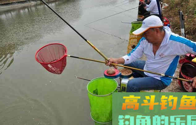 想钓大鲫鱼,现在正是时候 想钓大鲫鱼,现在正是时候