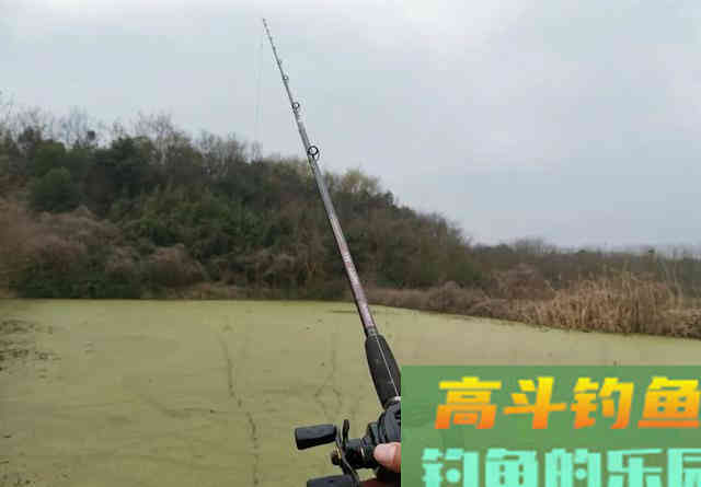 春天的黑鱼为何只咬一口？从水温入手找原因