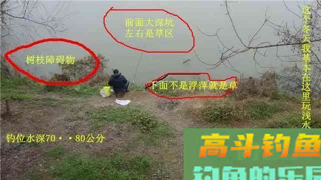 为何说野钓鲤一定要找坎 为何说野钓鲤一定要找坎