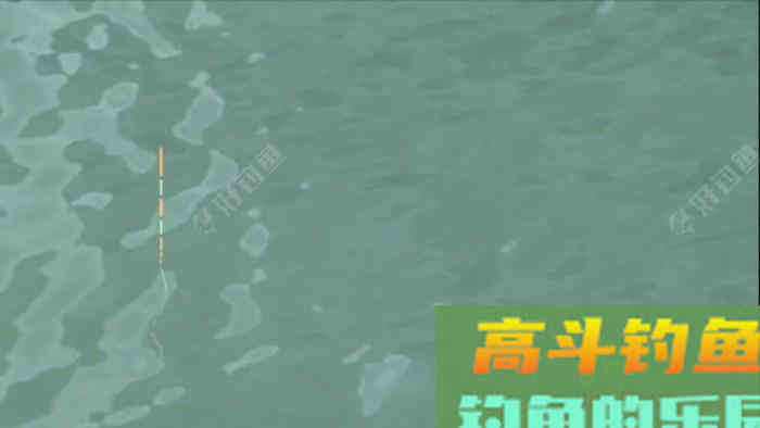野钓鲫手不离竿的必要性分析,教你野钓好鲫鱼 野钓鲫手不离竿的必要性分析,教你野钓好鲫鱼