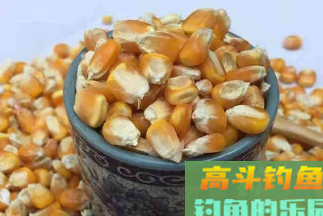 最近很火的鲤鱼新钓法,30年老司机试过后,也叫好 最近很火的鲤鱼新钓法,30年老司机试过后,也叫好