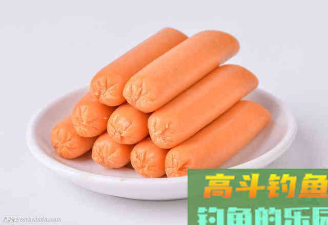 钓胡子鲶,就用这几种饵 钓胡子鲶,就用这几种饵