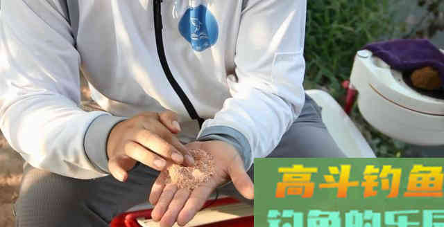 饵料加酒米为何窝变大了鱼却不上了?野钓鲫鱼 饵料加酒米为何窝变大了鱼却不上了?野钓鲫鱼