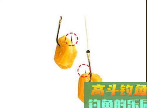 野生草鱼为什么夏季好钓,深秋却难钓?做好这3点即可 野生草鱼为什么夏季好钓,深秋却难钓?做好这3点即可
