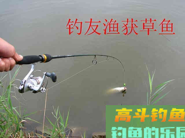 浮钓草鱼新方式，装备简单易携带