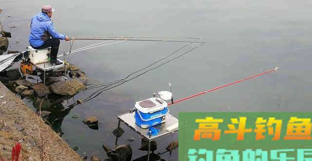 冬季大鲫鱼好钓?谣言!不注意3点,大板鲫和你无缘 冬季大鲫鱼好钓?谣言!不注意3点,大板鲫和你无缘