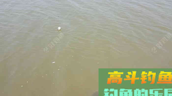 野钓策,野钓鲫鱼调与钓的几点感触 野钓策,野钓鲫鱼调与钓的几点感触