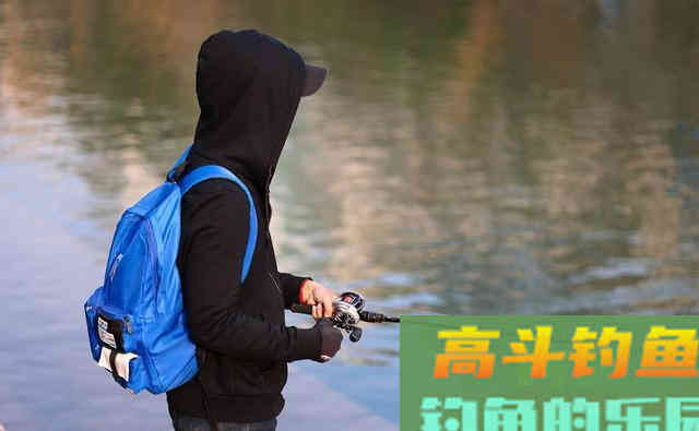 国内都无法成年的黑鱼,到了美国却成为了淡水霸王 国内都无法成年的黑鱼,到了美国却成为了淡水霸王