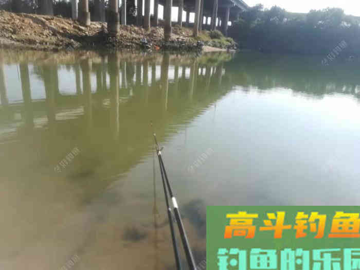 南方罗非鱼，土鲮如何钓？这样钓收获满满的
