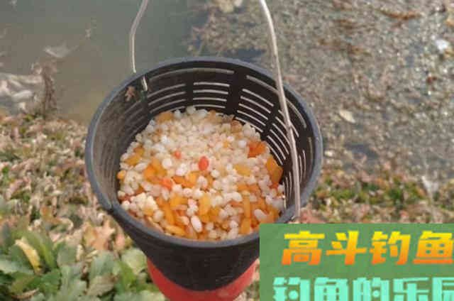 冬天的板鲫特难钓,庆幸老司机透露这几招 冬天的板鲫特难钓,庆幸老司机透露这几招