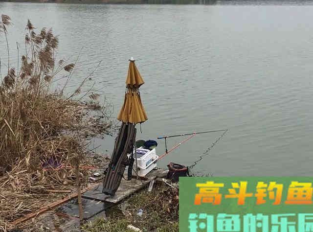 如何春天里寻找黄辣丁？大雨后，守住这些位置有惊喜
